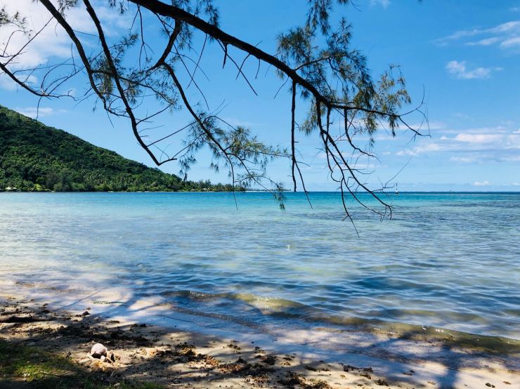 Couleur de l'eau ! - Moorea - Polynésie