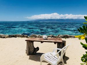 Face à la mer - Lagoonarium - Moorea - Polynésie