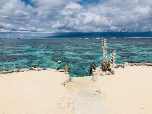 Coquillages et vue sur Tahiti pour accéder au lagon - Lagoonarium - Moorea - Polynésie