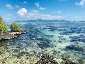 Autour du Motu Ofetaro - Raiatea - Polynésie