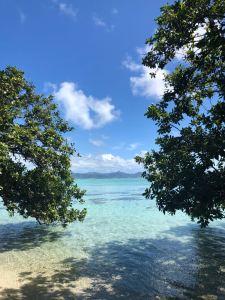 Autour du Motu Ofetaro - Raiatea - Polynésie
