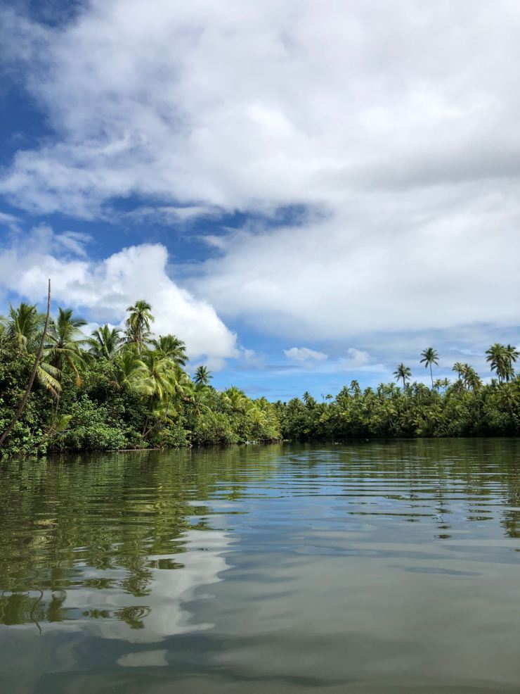 En remontant la rivière Faaroa - Raiatea - Polynésie
