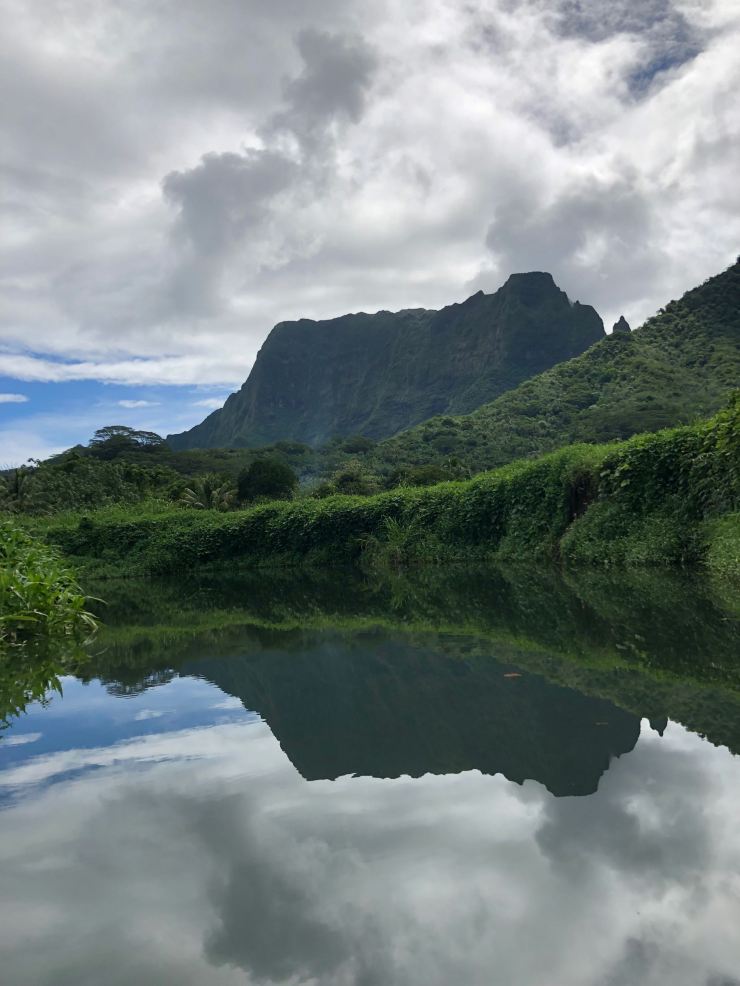 En remontant la rivière Faaroa - Raiatea - Polynésie
