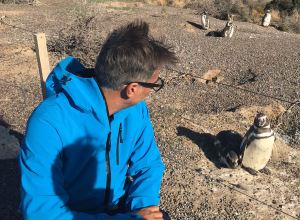 Tiens, un schroumpf ! - Punta Tombo - Argentine