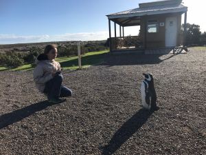 Rencontre - Punta Tombo - Argentine