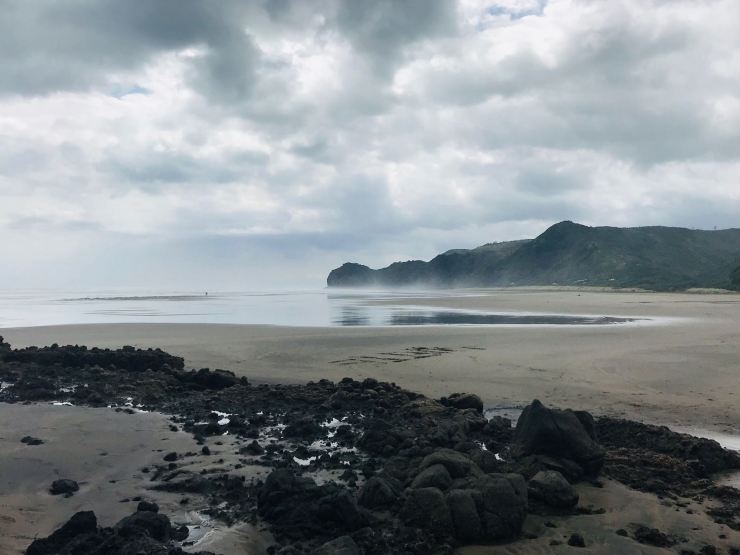 Péninsule Valdes - Argentine