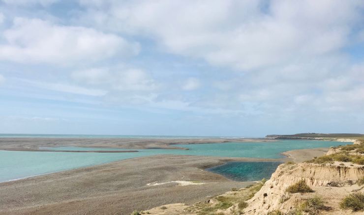Péninsule Valdes - Argentine