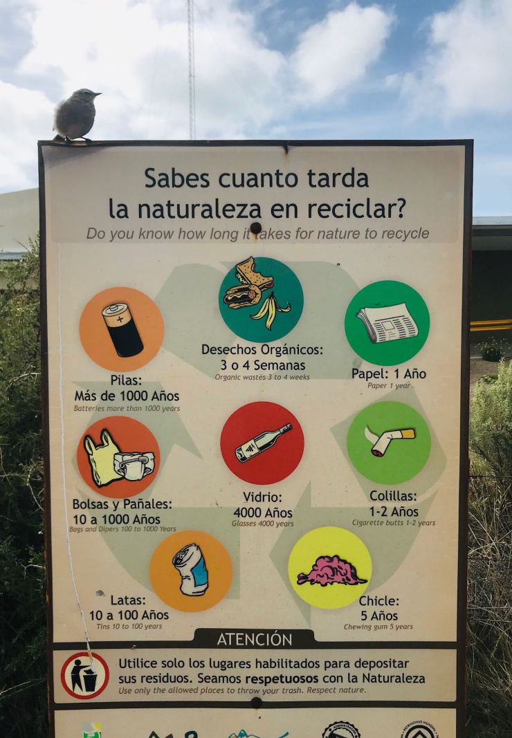 La minute écolo avec un piaf prof - Péninsule Valdes - Argentine