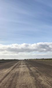 Les pistes de la péninsule Valdes - Argentine
