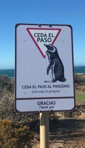 Cédez le passage - Punta Tombo - Argentine