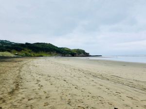 Muriwai Beach - Nouvelle-Zélande