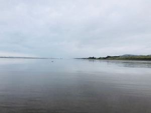 Muriwai Beach - Nouvelle-Zélande