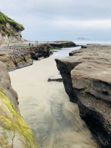 Muriwai Beach - Nouvelle-Zélande