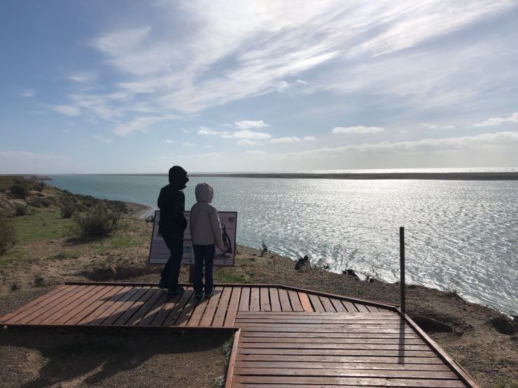 Face à la mer... - Péninsule Valdes - Argentine