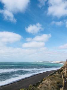 Peninsule Valdes - Argentine