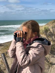 Tu les vois bien là, les lions de mer ? - Peninsule Valdes - Argentine