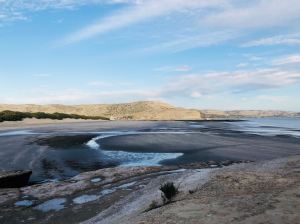 Peninsule Valdes - Argentine