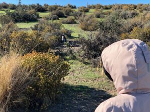Si je ne bouge pas, elle ne me voit pas ? - Punta Tombo - Argentine