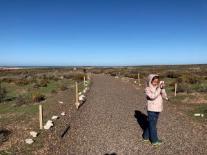 Eden poursuit son reportage - Punta Tombo - Argentine