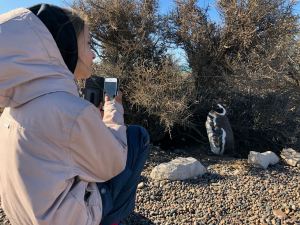 Salut c'est pour un reportage, sur Make Me Dream - Punta Tombo - Argentine
