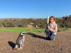 Discussion - Punta Tombo - Argentine