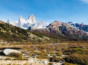 Flore de Patagonie et Fitz Roy en toile de fond - El Chaltén - Argentine