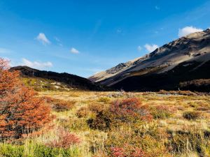 Lande de Patagonie - El Chalten - Argentine