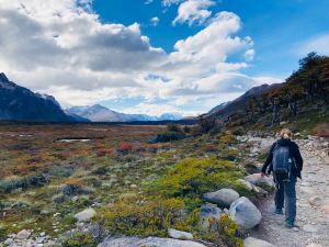 Lande de Patagonie - El Chalten - Argentine