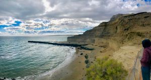 Péninsule Valdes - Argentine