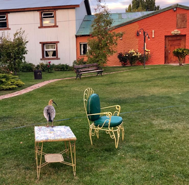 Jardin de notre hôtel - El Calafate - Argentine