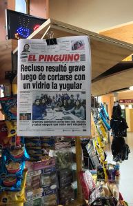 J'adore le nom de ce canard ! - Patagonie - Chili