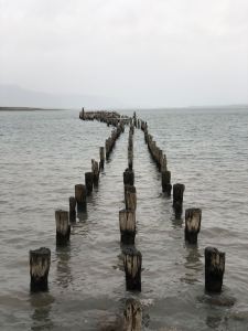 Symbole de Puerto Natales - Patagonie - Chili