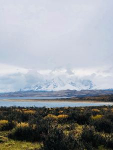 Steppe, lac et sommets - Torres del Paine - Patagonie - Chili