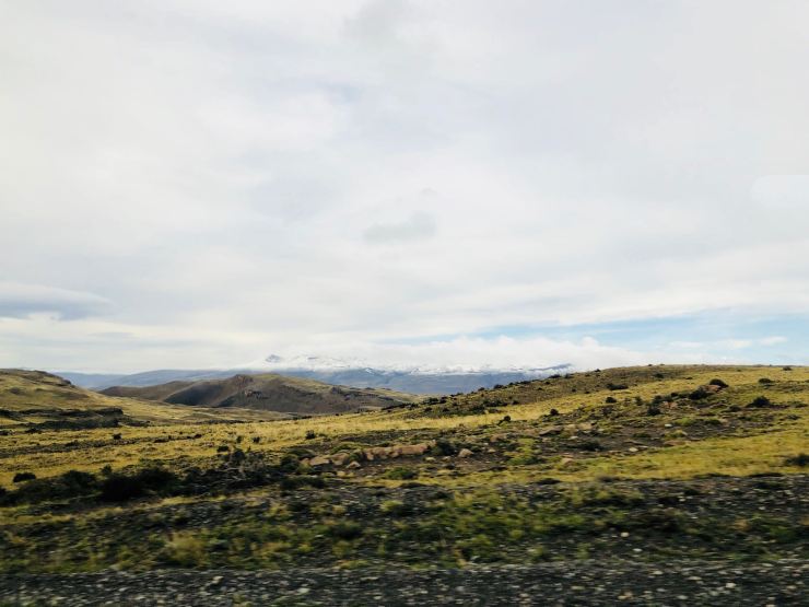 Steppe de Patagonie - Torres del Paine - Patagonie - Chili