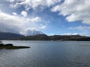Vers la plage - Lago Grey - Torres del Paine - Patagonie - Chili