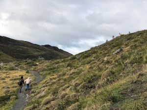 On ne tient pas debout- Torres del Paine - Patagonie - Chili