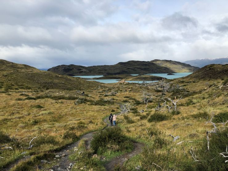 Perdues dans la steppe - Torres del Paine - Patagonie - Chili