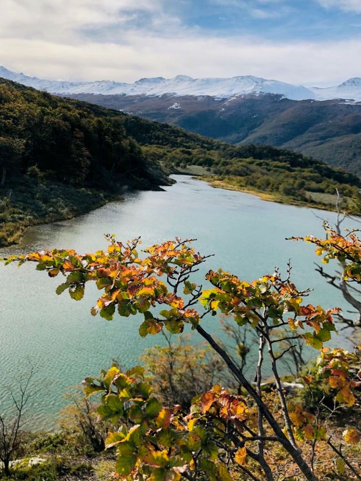 Laguna Verde - Parc National Terre de Feu - Argentine