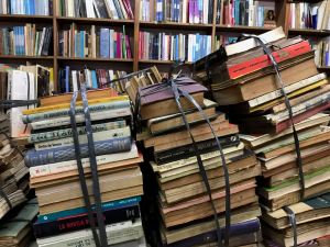 Dans la libreria de Avila - Buenos Aires - Argentine