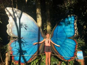 Une fillette papillon - Parque Das Aves - Iguazu - Brésil