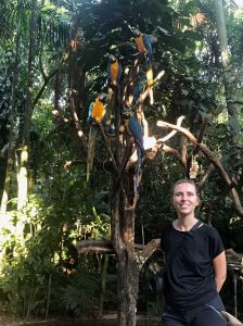 Avec les aras - Parque Das Aves - Iguazu - Brésil