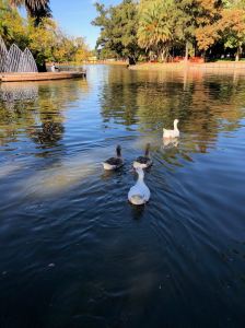 Dans le patio Andalu - Bosque de Palermo - Buenos Aires - Argentine