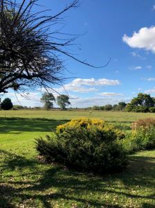 Autour de l'Estancia - Pampa - Argentine
