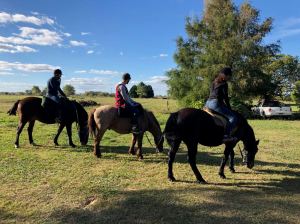 A cheval dans la Pampa - Argentine