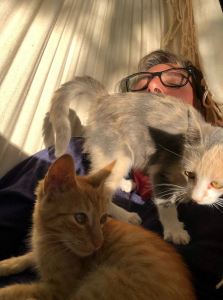 Un peu envahissants les chatons ? - Pampa - Argentine