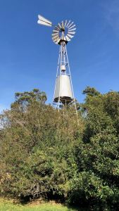 Energie éolienne - Pampa - Argentine