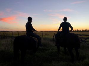 Balade à cheval au coucher du soleil - Pampa - Argentine