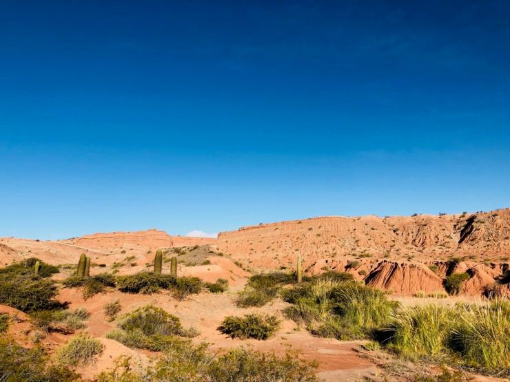 Parque Nacional Los Cardones - Camino de Los Colorados - Noroeste - Argentine