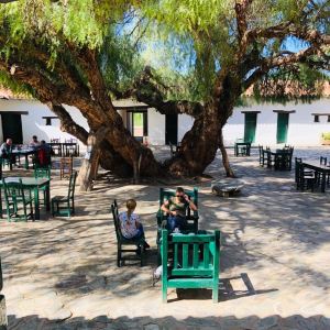 Dans le patio de l'hacienda de Molinos - Noroeste - Argentine