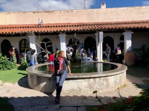Cafayate - Noroeste - Argentine
